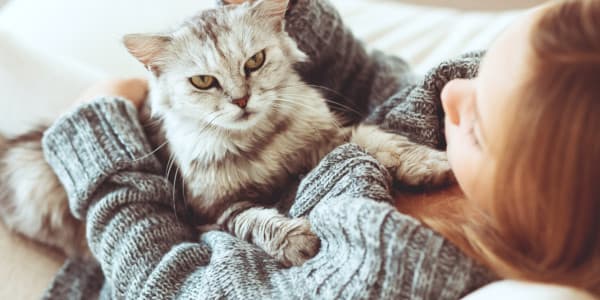 أهم أعراض حساسية القطط وطرق علاجها